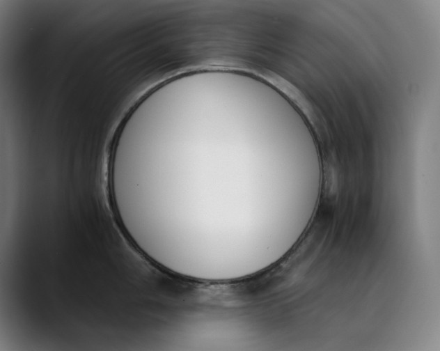 X0000089831006200707121637