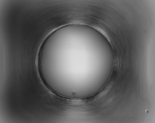 X0000089831007200707121637