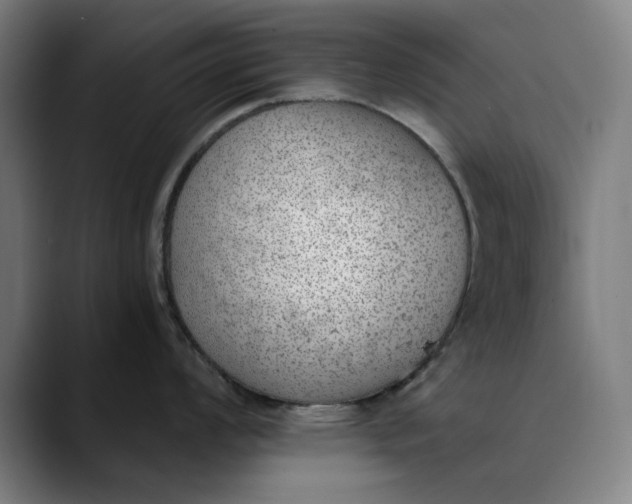 X0000089831008200707121637