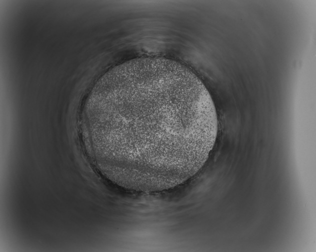 X0000089831009200707121637