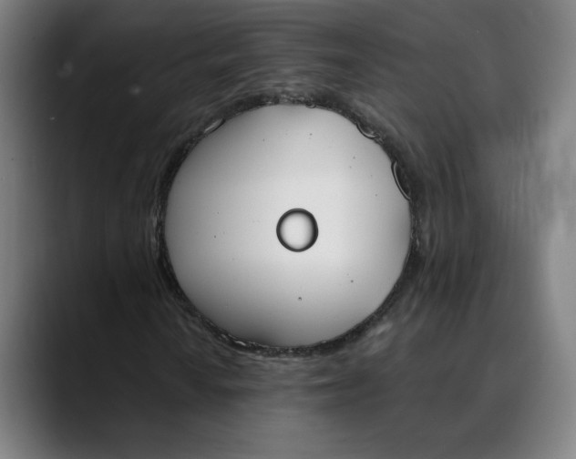 X0000089831010200707121637