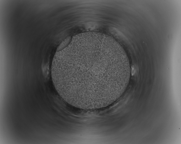 X0000089831011200707121637