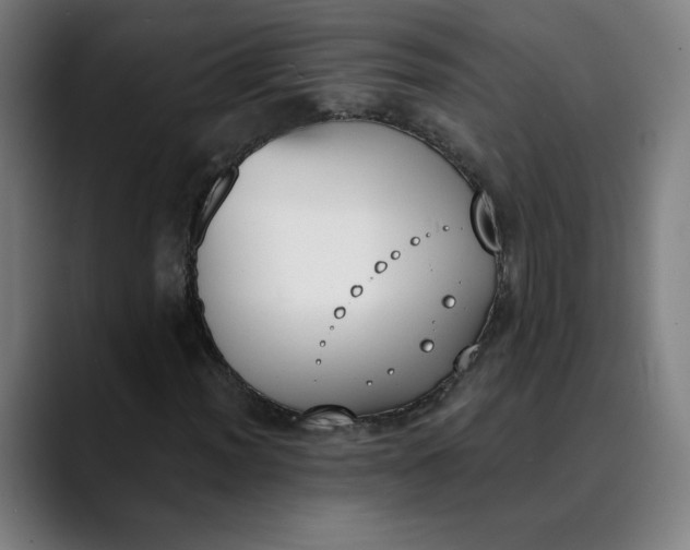 X0000089831012200707121637