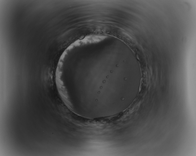 X0000089831013200707121637