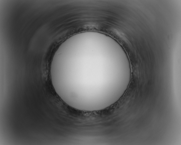 X0000089831015200707121637