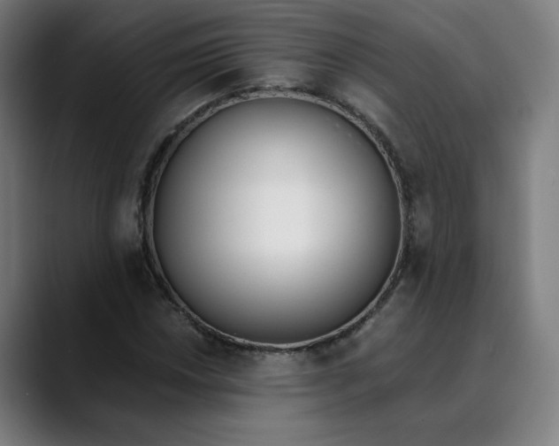 X0000089831018200707121637