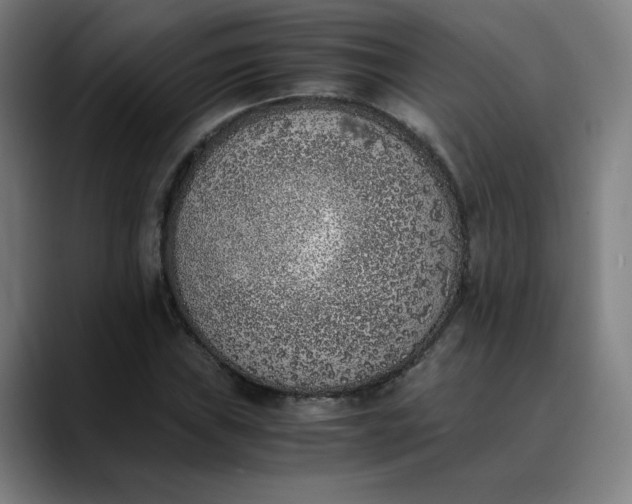 X0000089831019200707121637