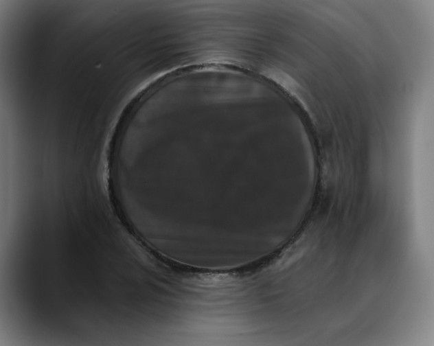 X0000089831024200707121637