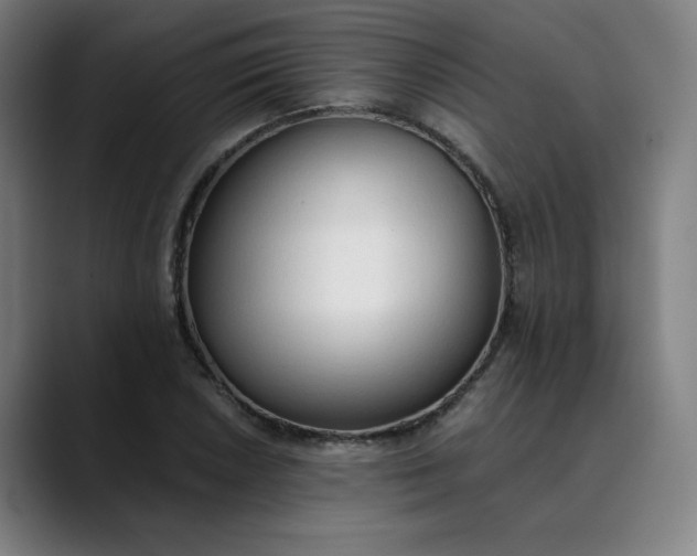 X0000089831026200707121637