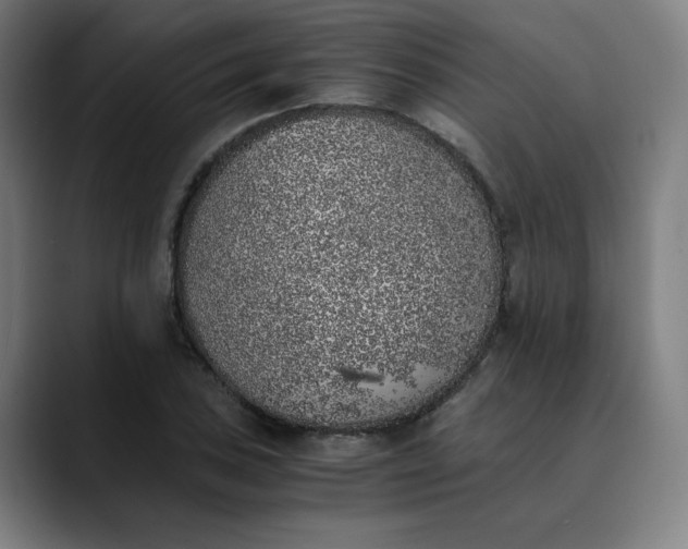 X0000089831027200707121637