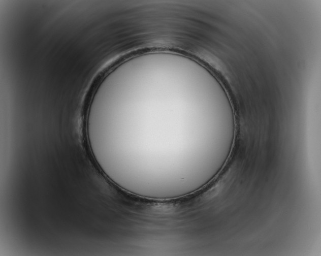 X0000089831029200707121637