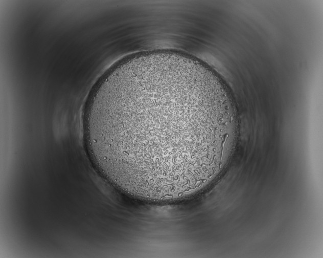 X0000089831031200707121637