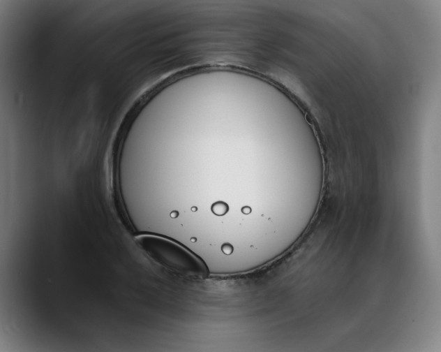 X0000089831032200707121637