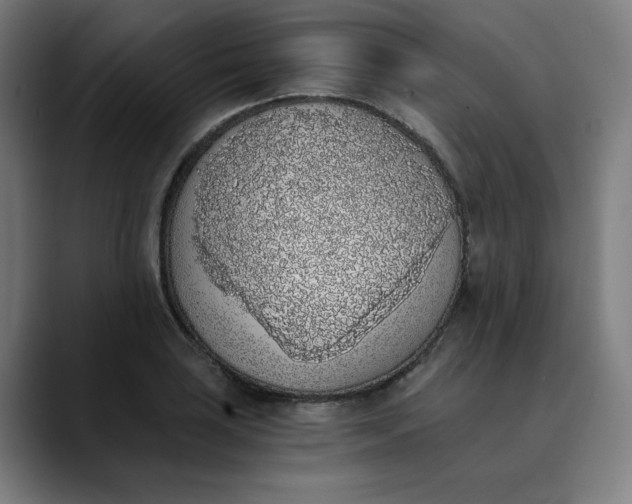 X0000089831035200707121637