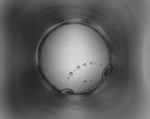 X0000089831036200707121637