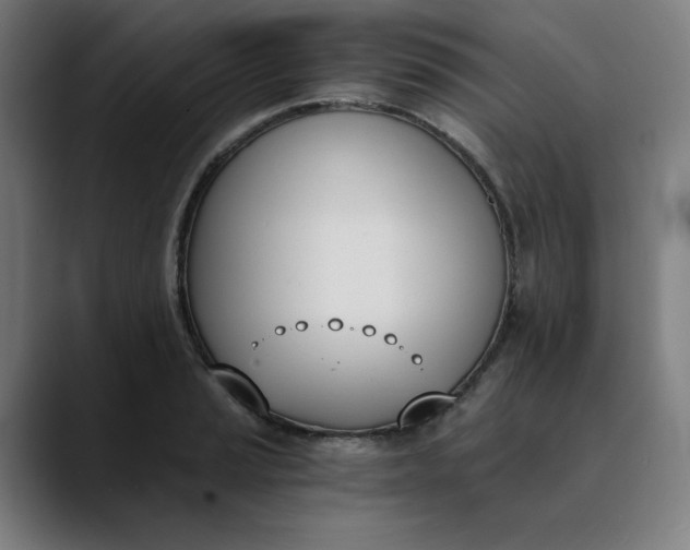 X0000089831037200707121637