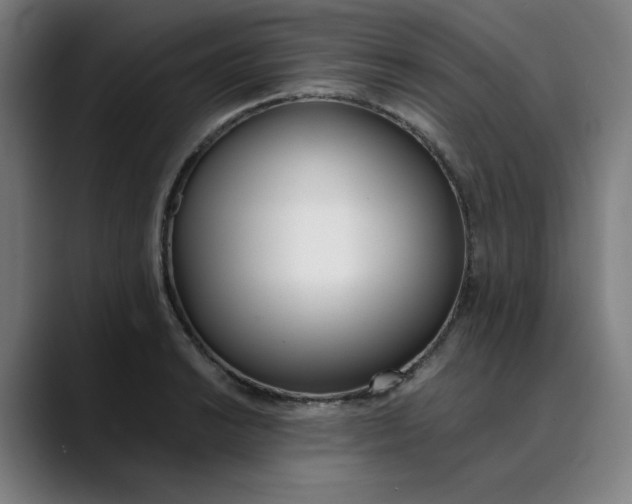 X0000089831038200707121637