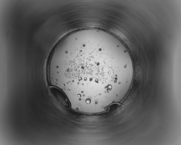 X0000089831039200707121637