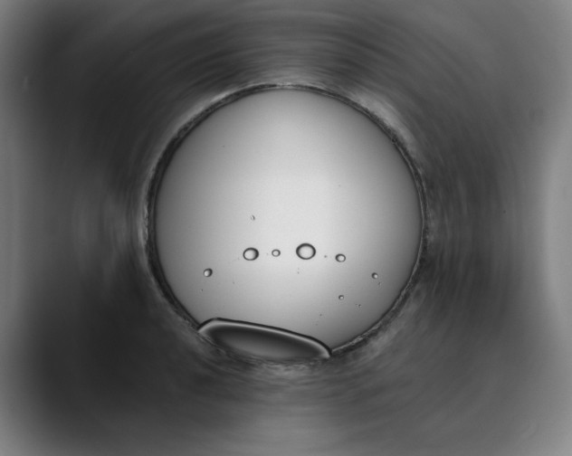 X0000089831040200707121637