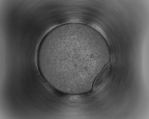 X0000089831043200707121637