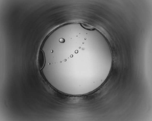 X0000089831044200707121637