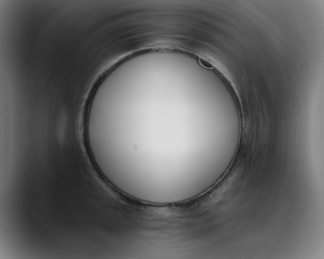 X0000089831045200707121637