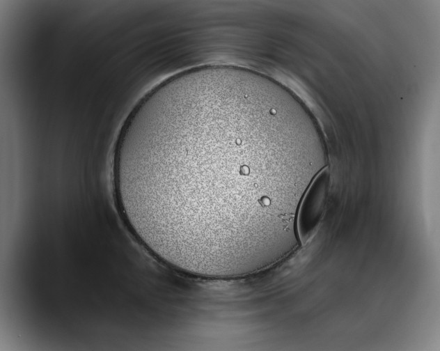 X0000089831048200707121637