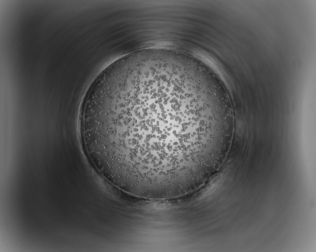 X0000089831050200707121637