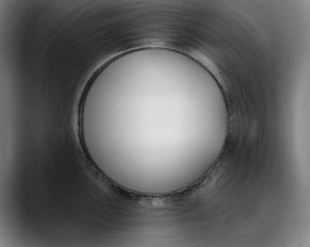 X0000089831051200707121637