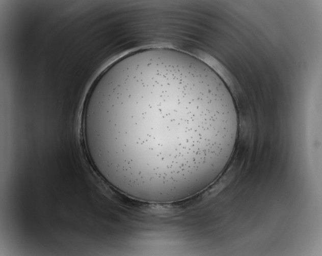 X0000089831052200707121637