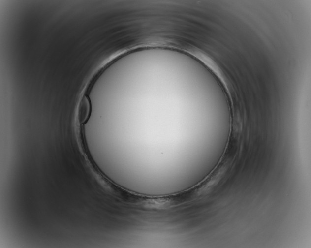 X0000089831053200707121637