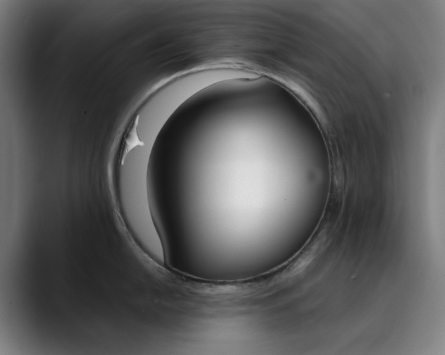 X0000089831054200707121637