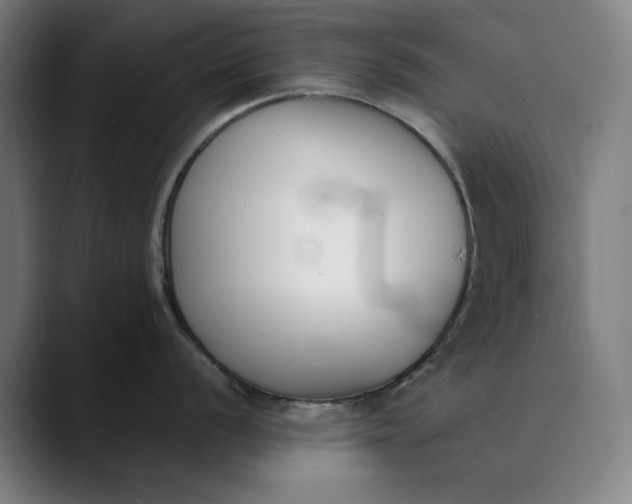 X0000089831056200707121637