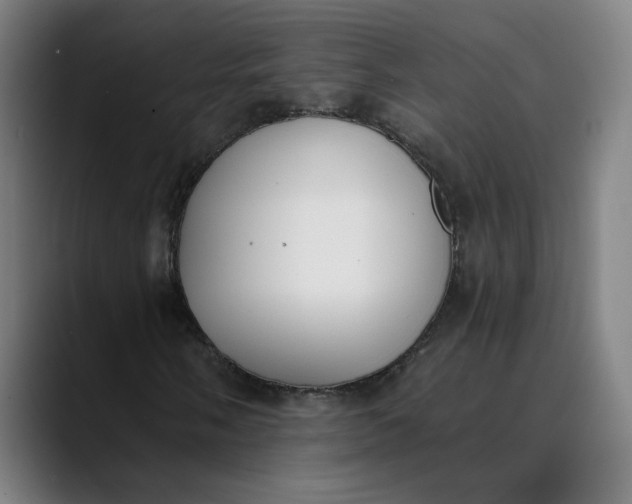 X0000089831058200707121637