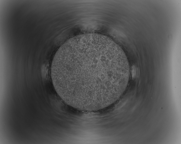 X0000089831059200707121637