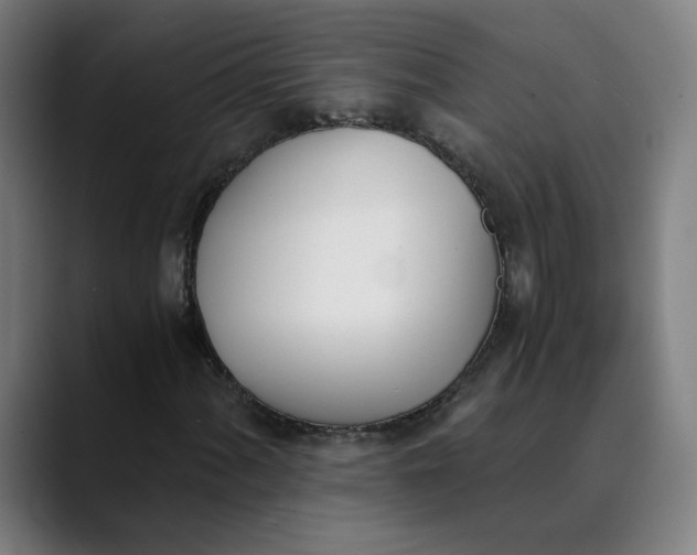 X0000089831060200707121637