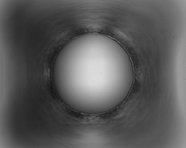 X0000089831061200707121637