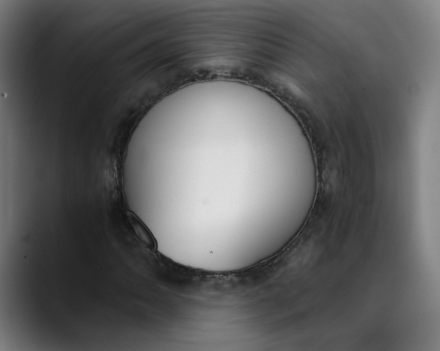 X0000089831062200707121637