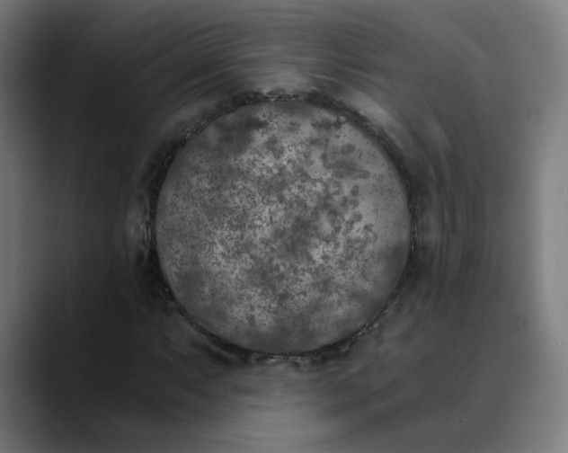 X0000089831063200707121637