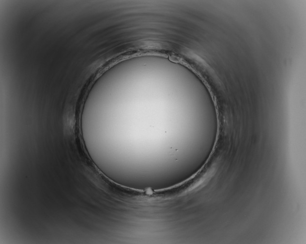 X0000089831065200707121637