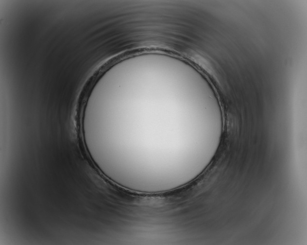 X0000089831068200707121636