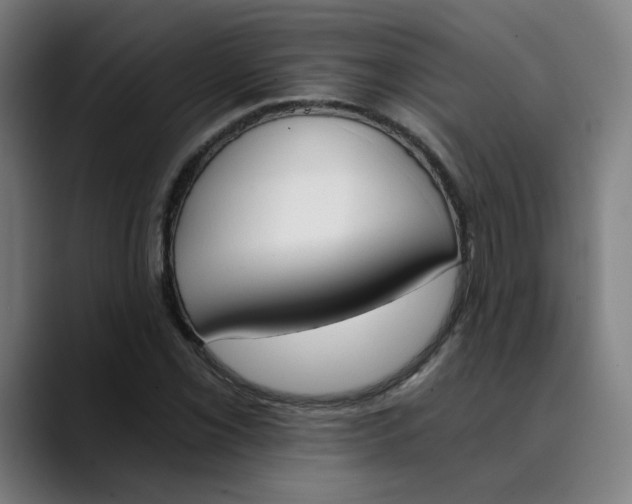 X0000089831069200707121636