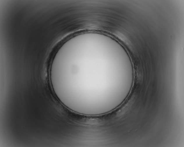 X0000089831070200707121636