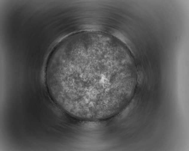 X0000089831074200707121636