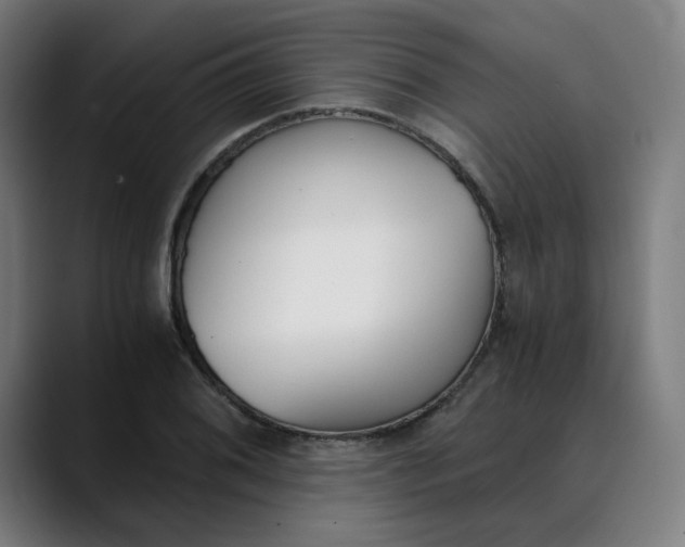 X0000089831076200707121636