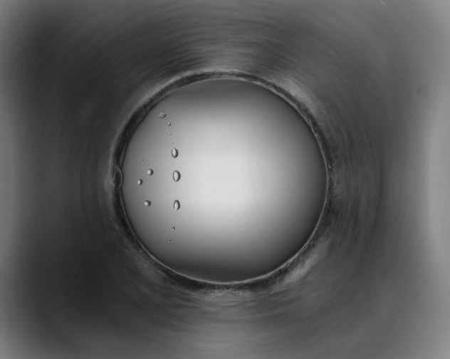 X0000089831077200707121636