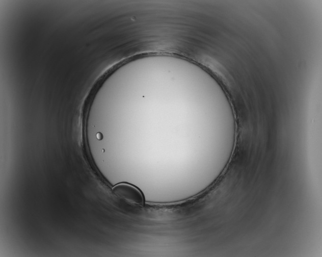 X0000089831079200707121636