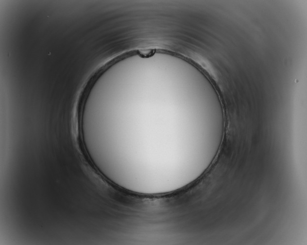 X0000089831080200707121636