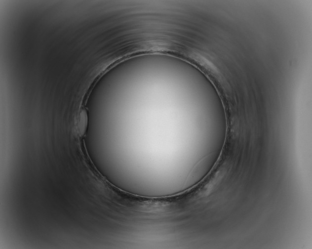 X0000089831081200707121636