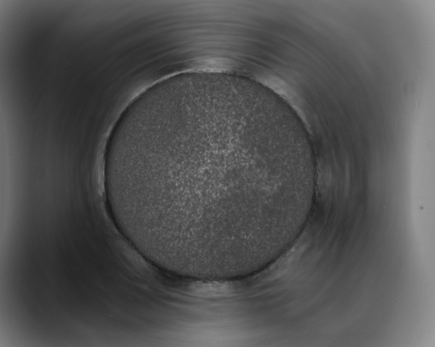 X0000089831083200707121636